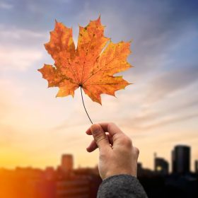 autunno sostenibile