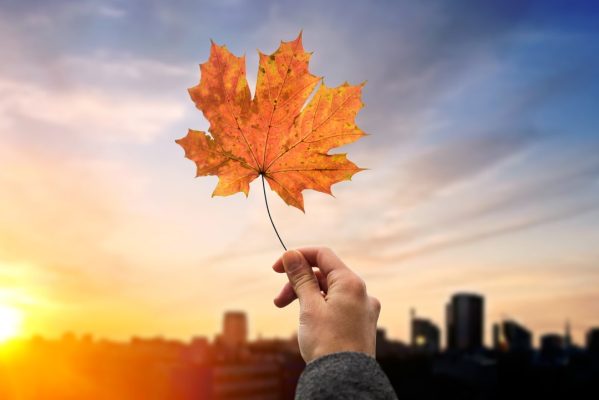autunno sostenibile