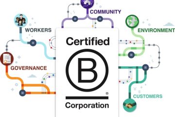 Aziende B Corp: Quali sono in Italia e Certificazione