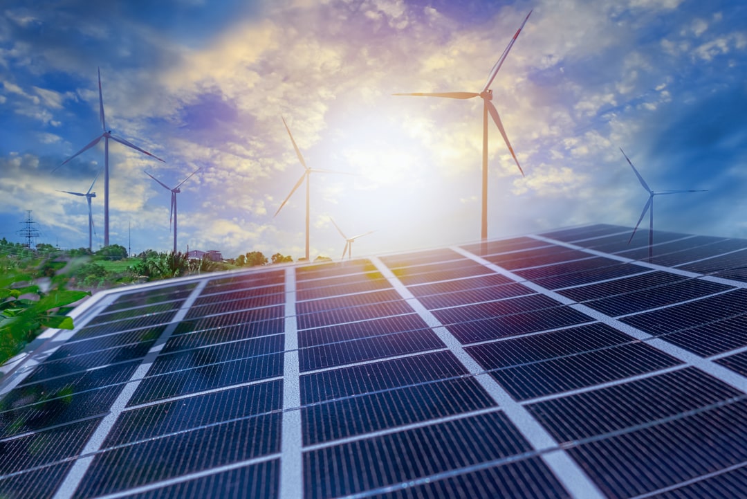 Fornitori ed energia rinnovabile